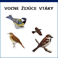 voľne žijúce vtáctvo